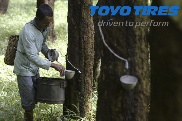 Toyo выступила в поддержку использования натурального каучука